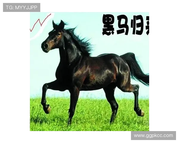 黑马计划：实现创业梦想的资本与资源对接平台